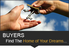 Andrea L. Gallo Fleming Island FL Realtor (954) 552-7791